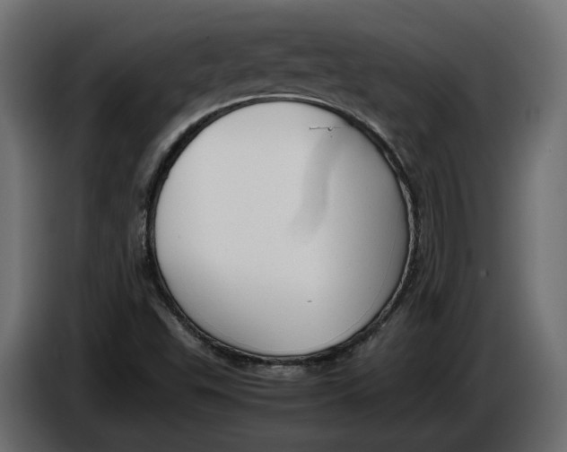 X0000086081503200704132051