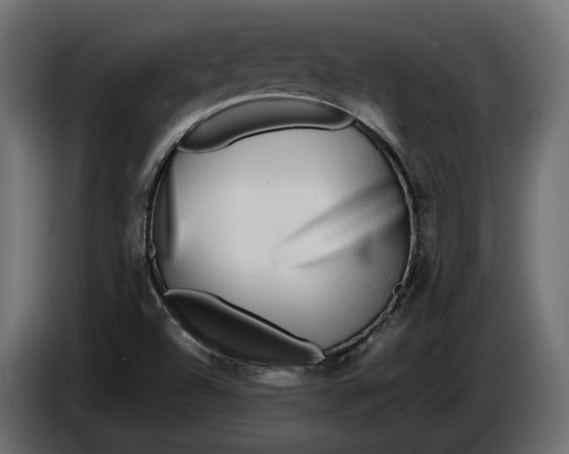 X0000086081504200704132051