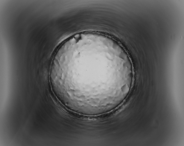 X0000086081505200704132051