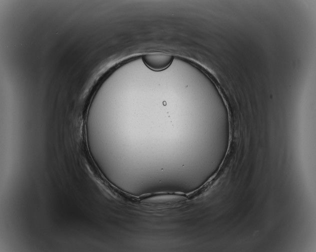 X0000086081507200704132051