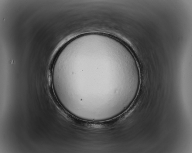 X0000086081509200704132051