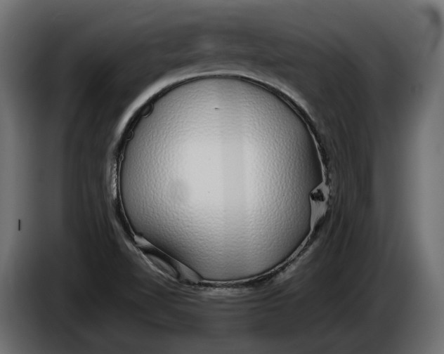 X0000086081510200704132051