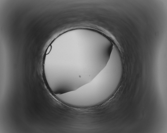 X0000086081512200704132051