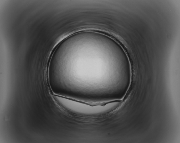 X0000086081513200704132051