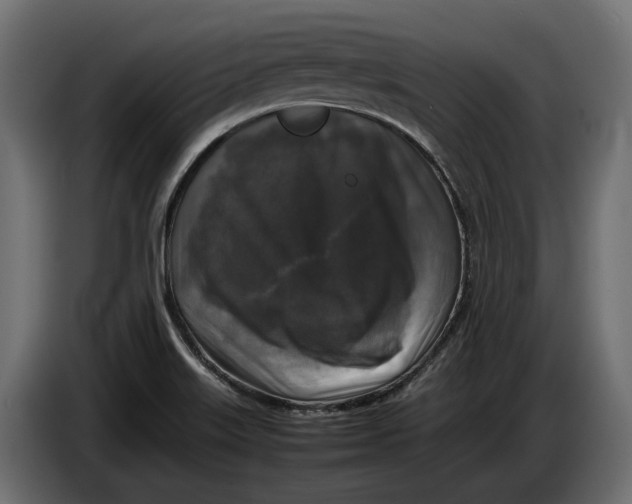 X0000086081515200704132051