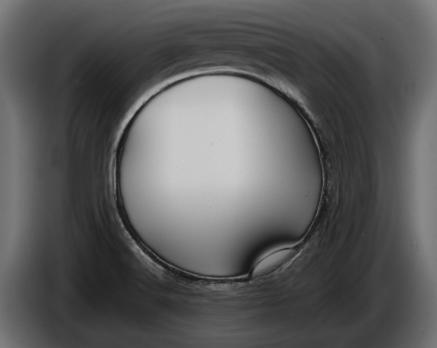 X0000086081516200704132051