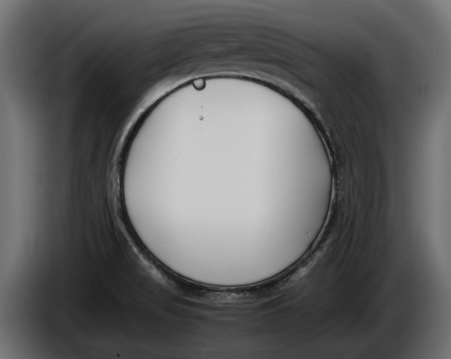 X0000086081517200704132051