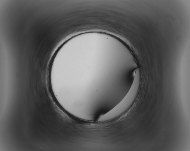 X0000086081518200704132051