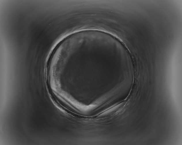 X0000086081519200704132051