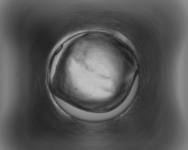 X0000086081520200704132051