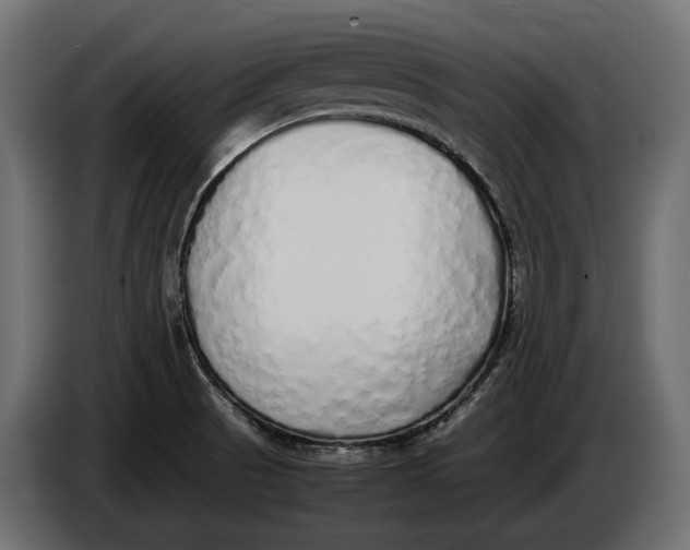 X0000086081521200704132051