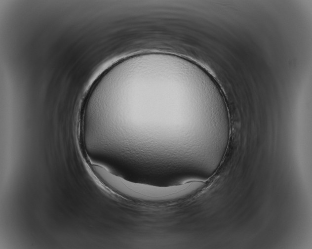 X0000086081523200704132051