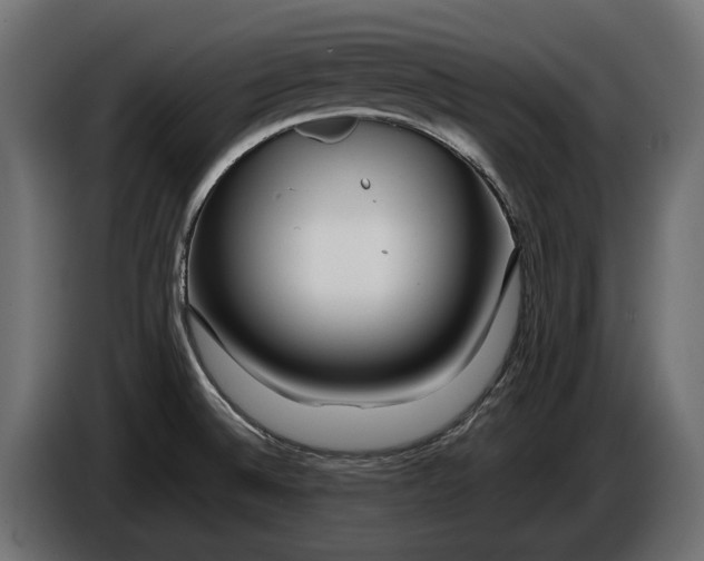 X0000086081524200704132051