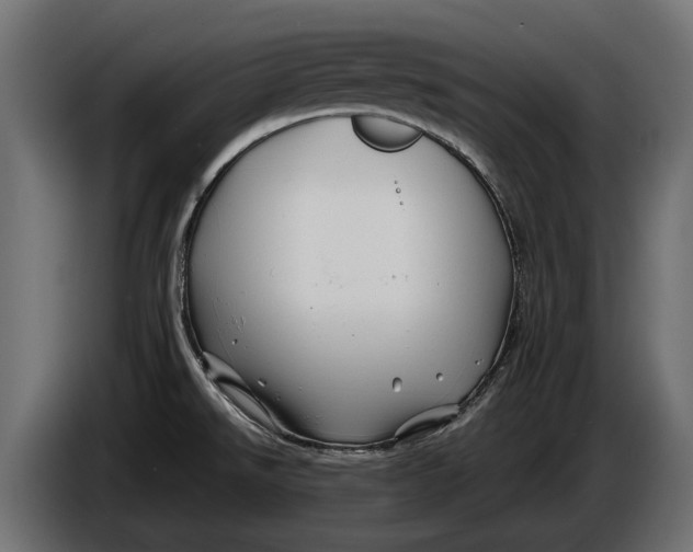 X0000086081526200704132051