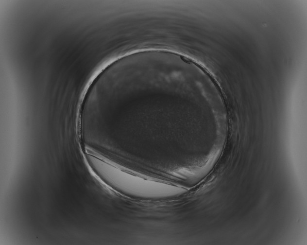 X0000086081527200704132051