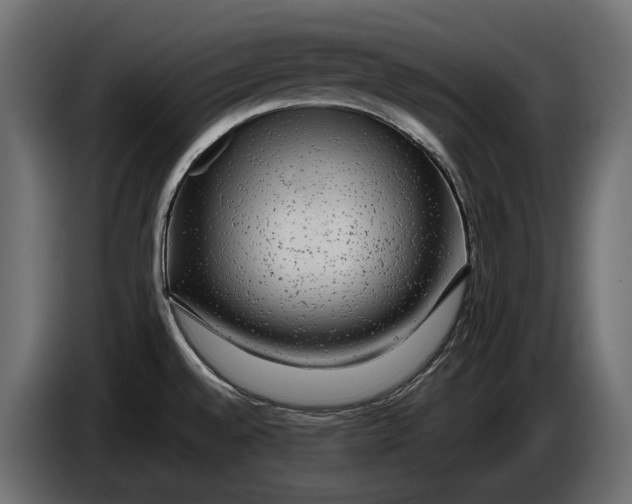 X0000086081528200704132051