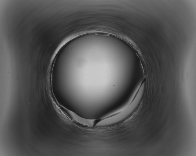 X0000086081530200704132051