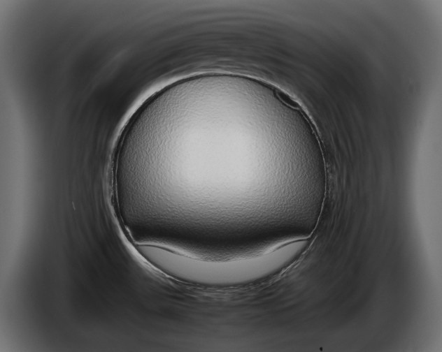 X0000086081531200704132051