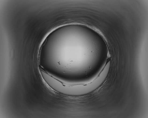 X0000086081532200704132051