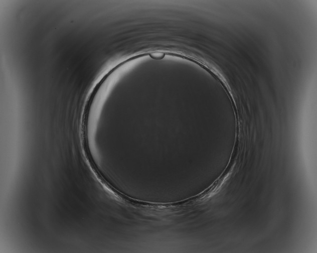 X0000086081533200704132051