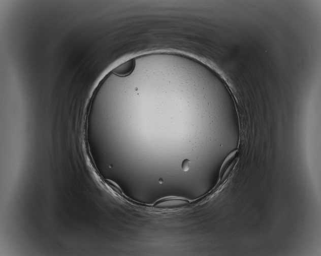 X0000086081534200704132051