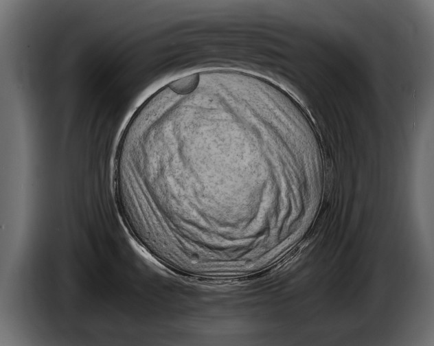 X0000086081535200704132051