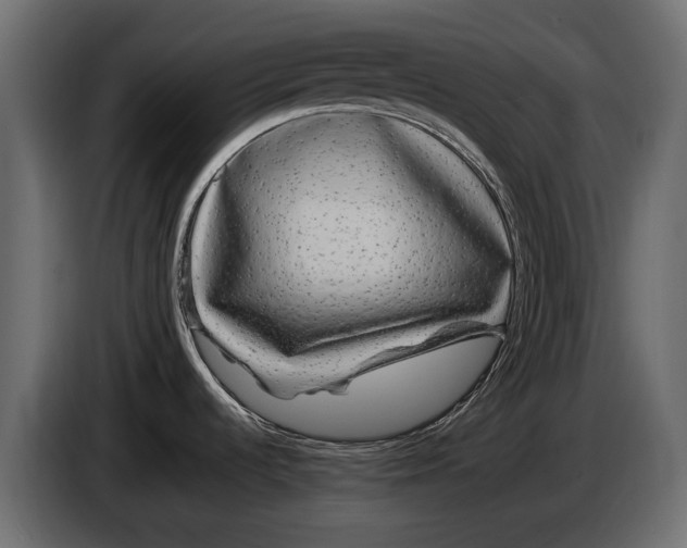 X0000086081536200704132052