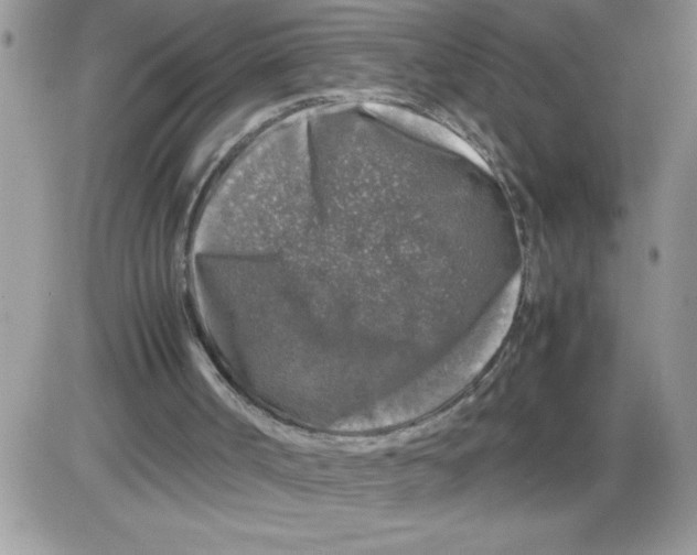 X0000086080002200704202203