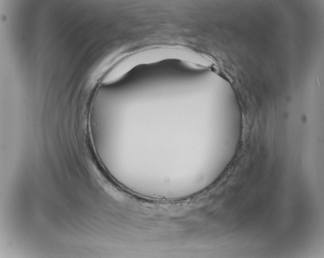 X0000086080005200704202203