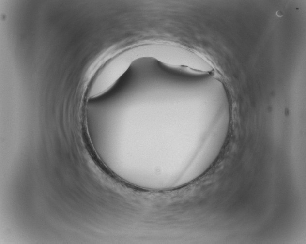 X0000086080007200704202203