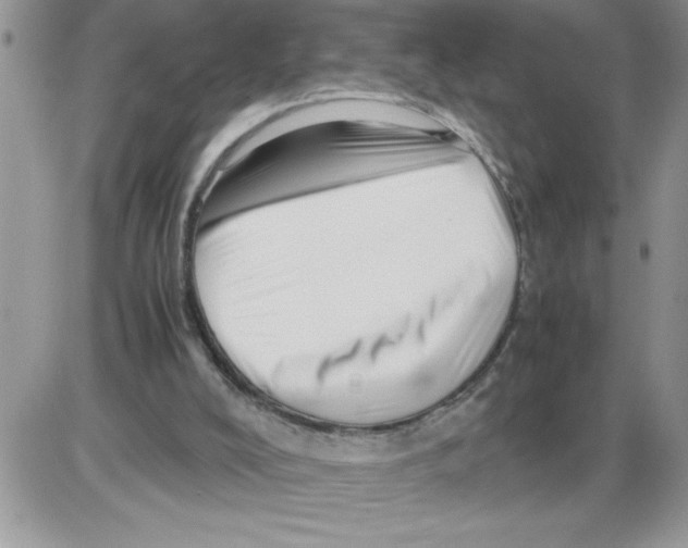 X0000086080008200704202203