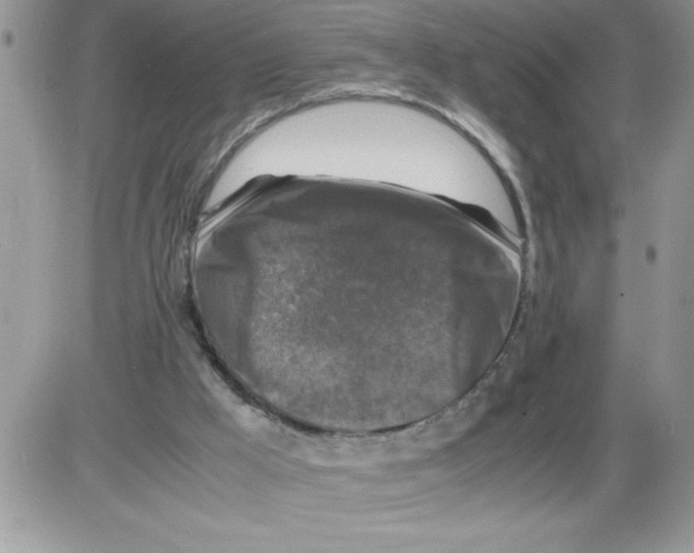 X0000086080009200704202203