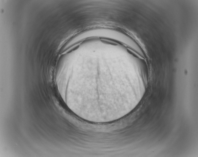 X0000086080010200704202203