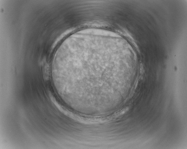 X0000086080012200704202202