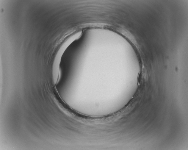 X0000086080013200704202202