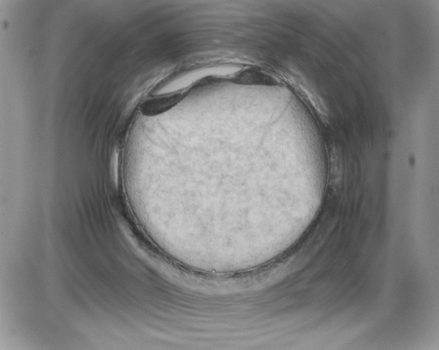 X0000086080014200704202202