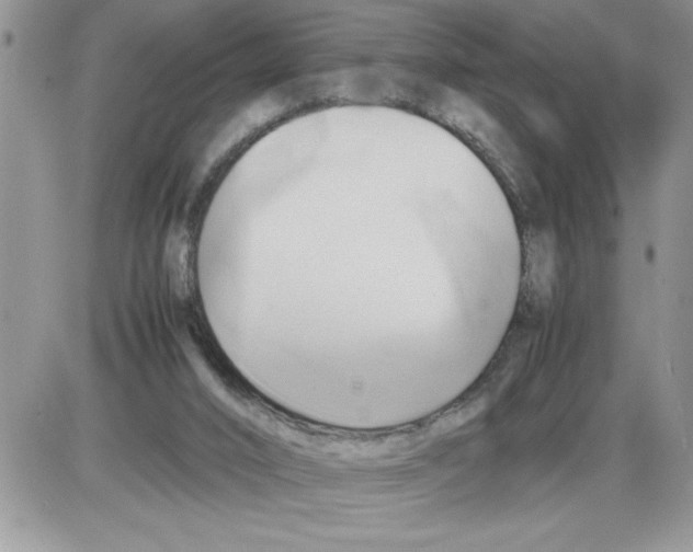 X0000086080016200704202202