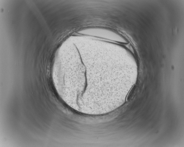 X0000086080017200704202202