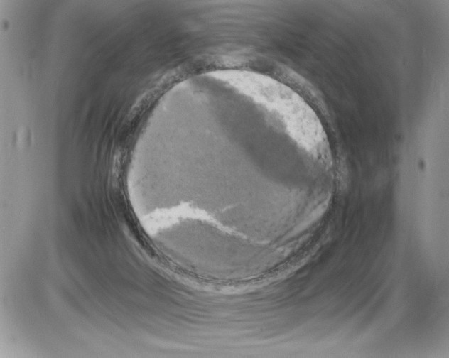 X0000086080018200704202202