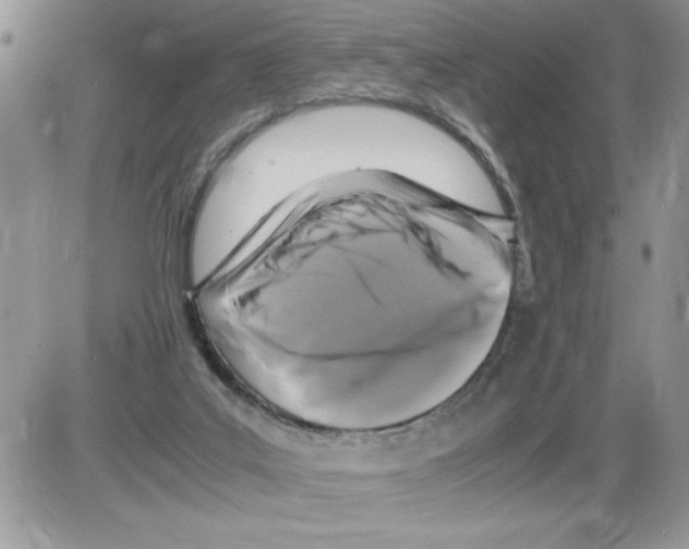 X0000086080019200704202202