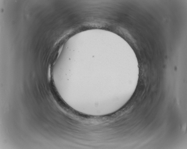 X0000086080020200704202202