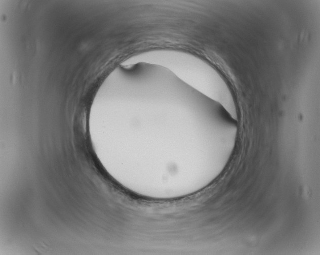 X0000086080021200704202202