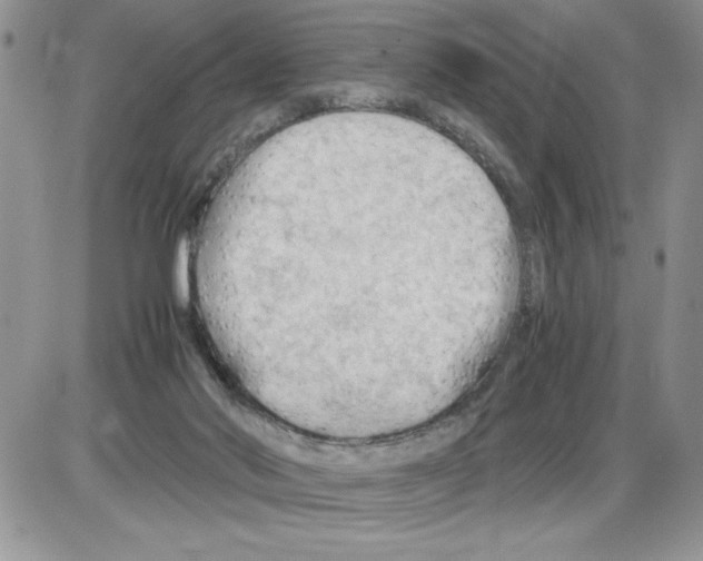 X0000086080022200704202202