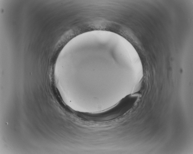 X0000086080023200704202202