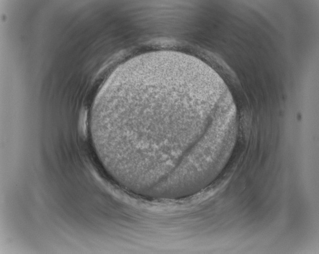 X0000086080024200704202202