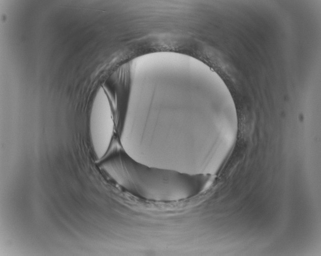 X0000086080027200704202202