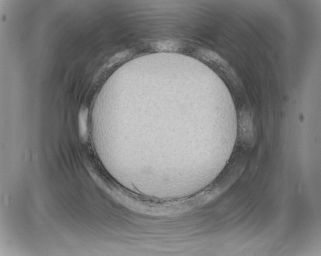 X0000086080028200704202202