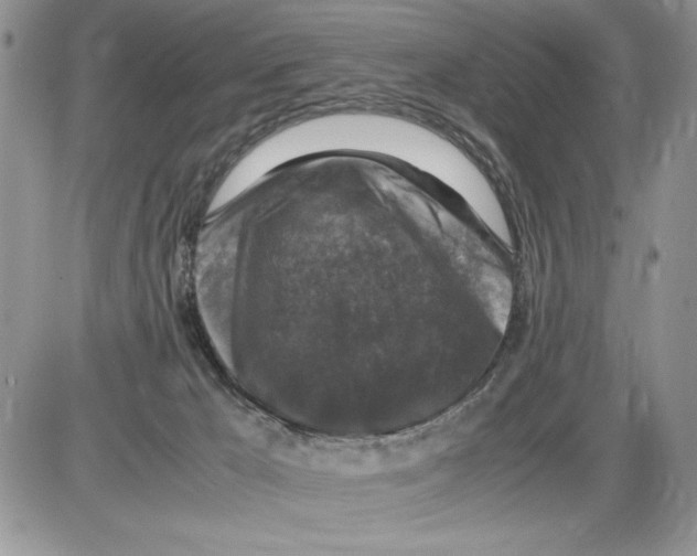 X0000086080029200704202202