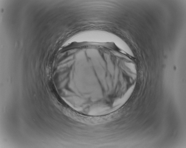 X0000086080031200704202202