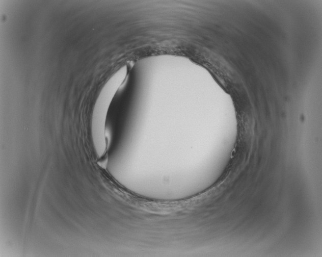 X0000086080033200704202202